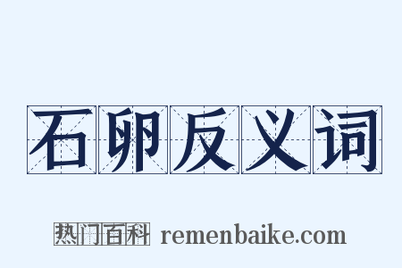 石卵反义词是什么意思的图片